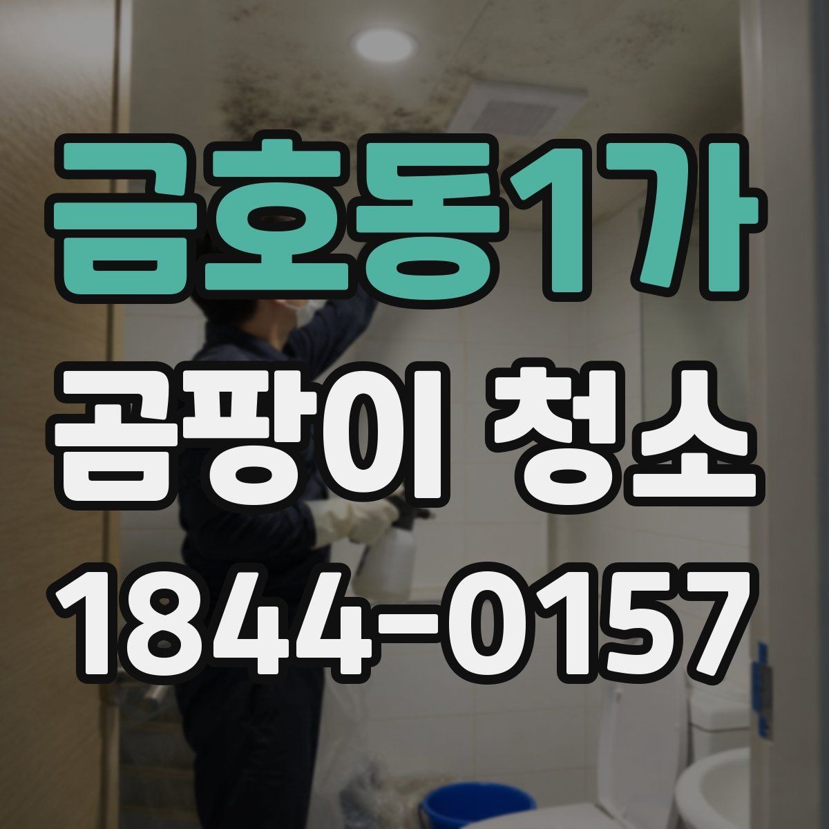 금호동1가 곰팡이 청소 시 손상 위험 줄이는 요령