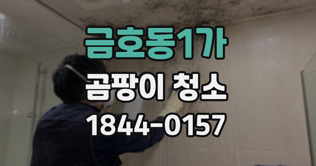금호동1가 곰팡이 청소