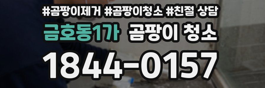 금호동1가 곰팡이 청소