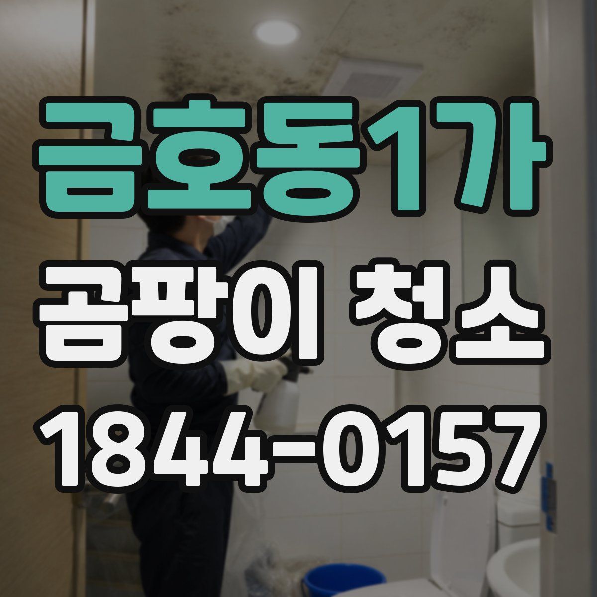 금호동1가 곰팡이 청소
