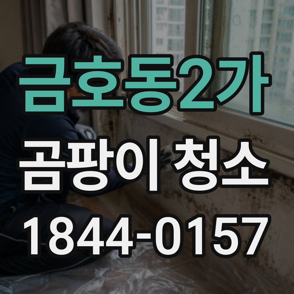 금호동2가 곰팡이 청소