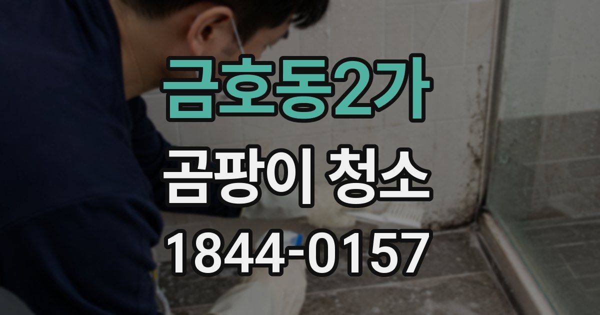금호동2가 곰팡이 청소