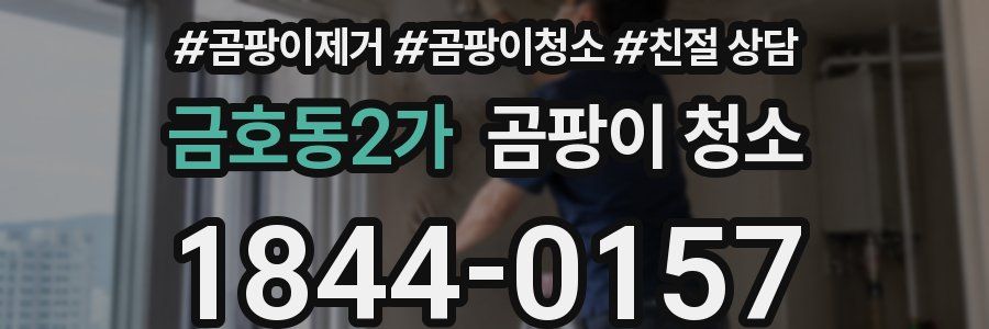 금호동2가 곰팡이 청소
