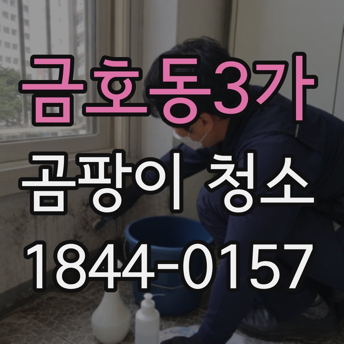 금호동3가 곰팡이 청소