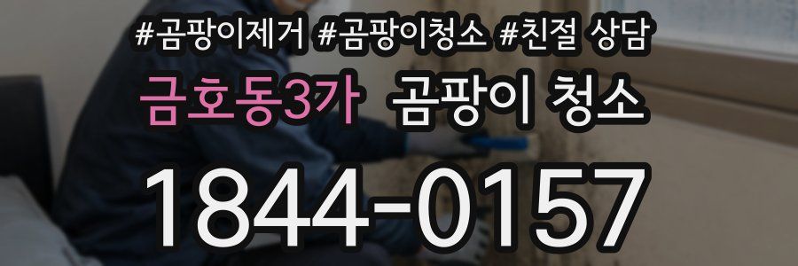 금호동3가 곰팡이 청소