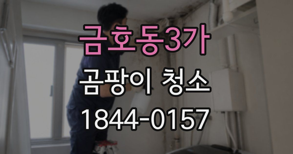 금호동3가 곰팡이 청소