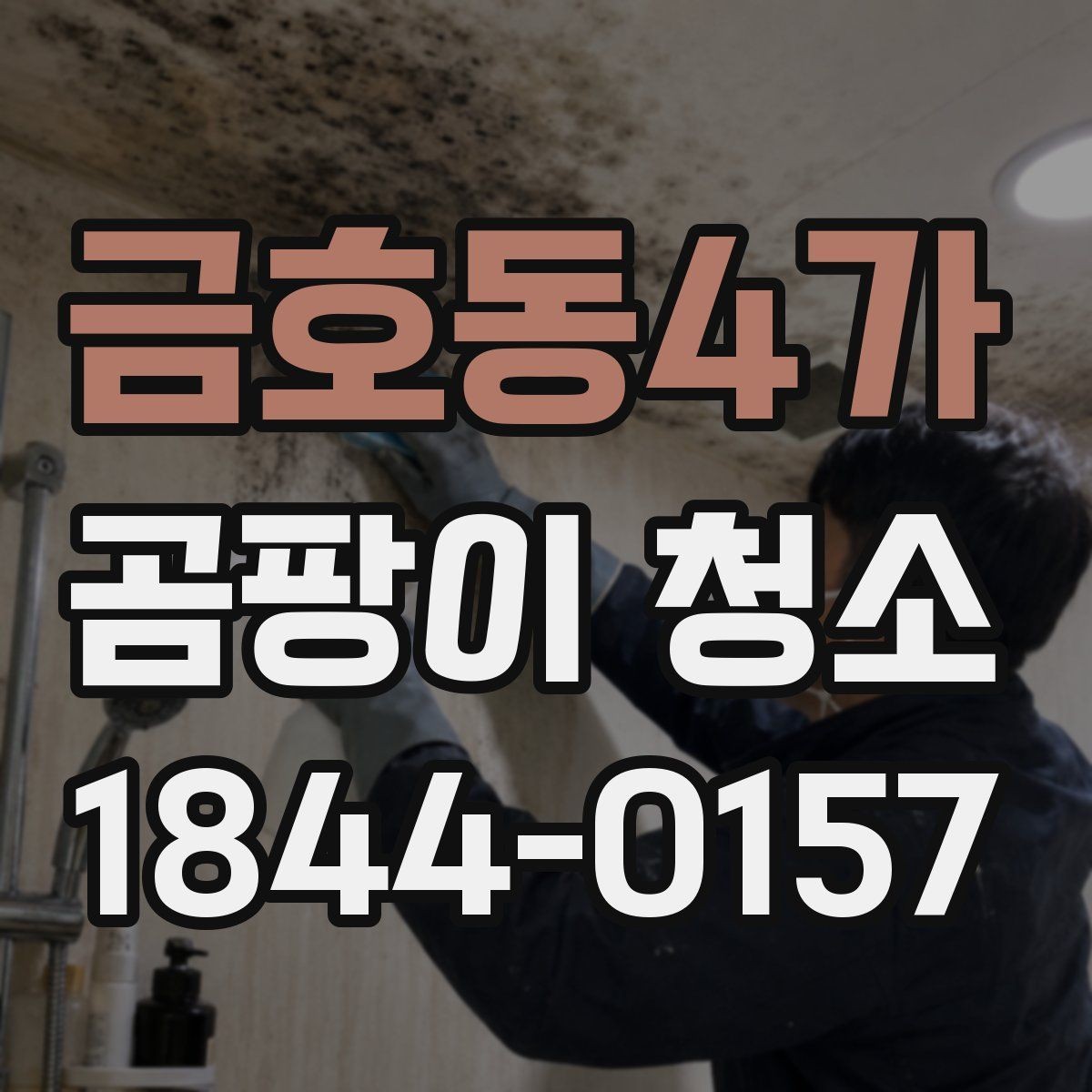 금호동4가 곰팡이 청소 작업 시 소음과 냄새는 어느 정도일까
