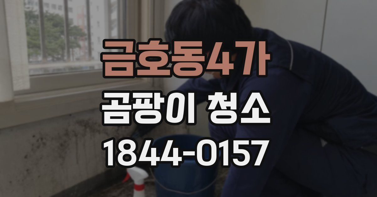 금호동4가 곰팡이 청소