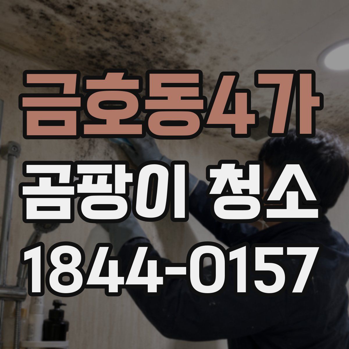 금호동4가 곰팡이 청소