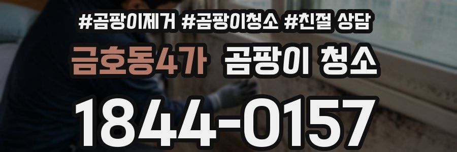 금호동4가 곰팡이 청소