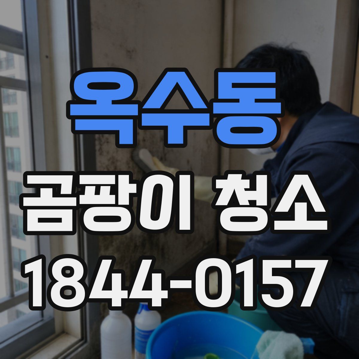 옥수동 곰팡이 청소