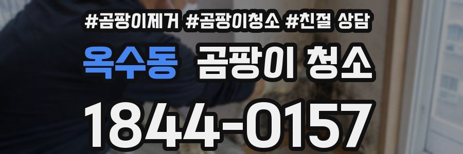 옥수동 곰팡이 청소
