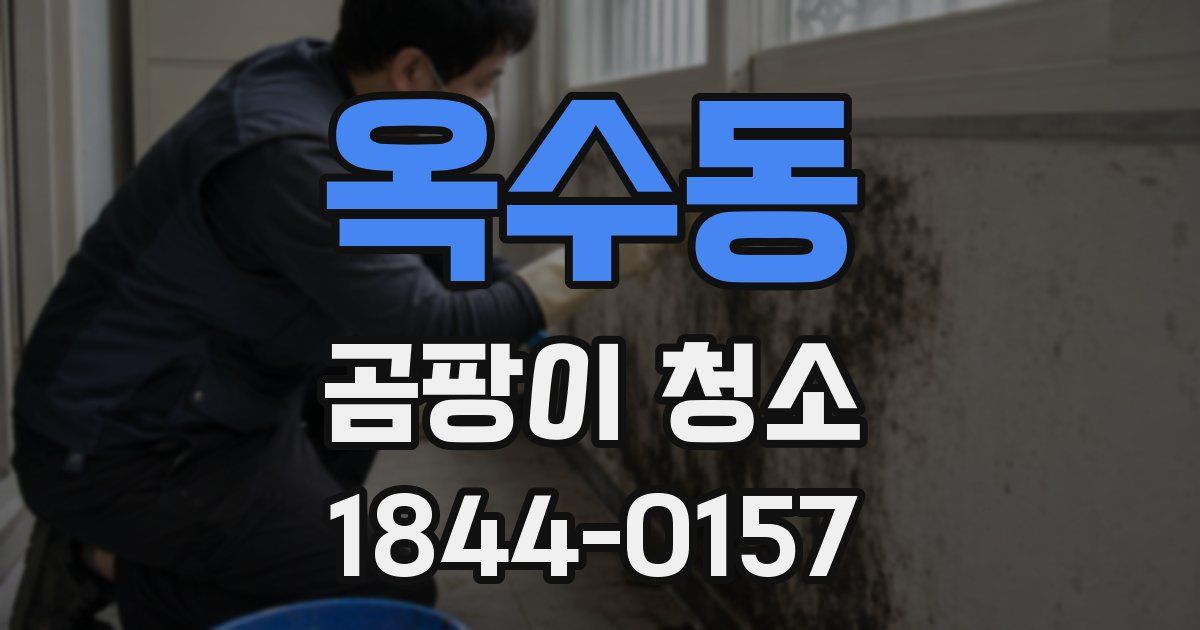 옥수동 곰팡이 청소