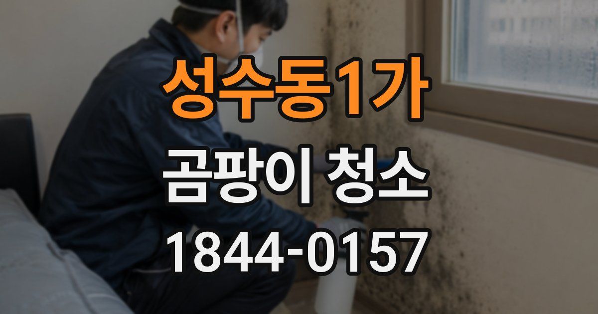 성수동1가 곰팡이 청소