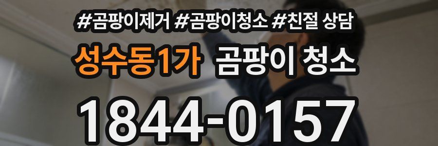 성수동1가 곰팡이 청소