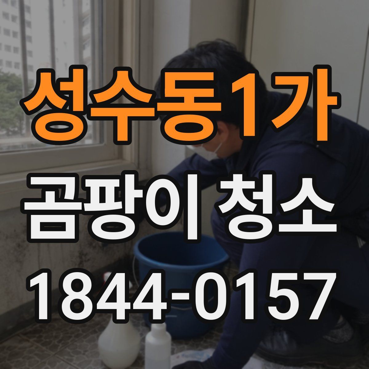 성수동1가 곰팡이 청소