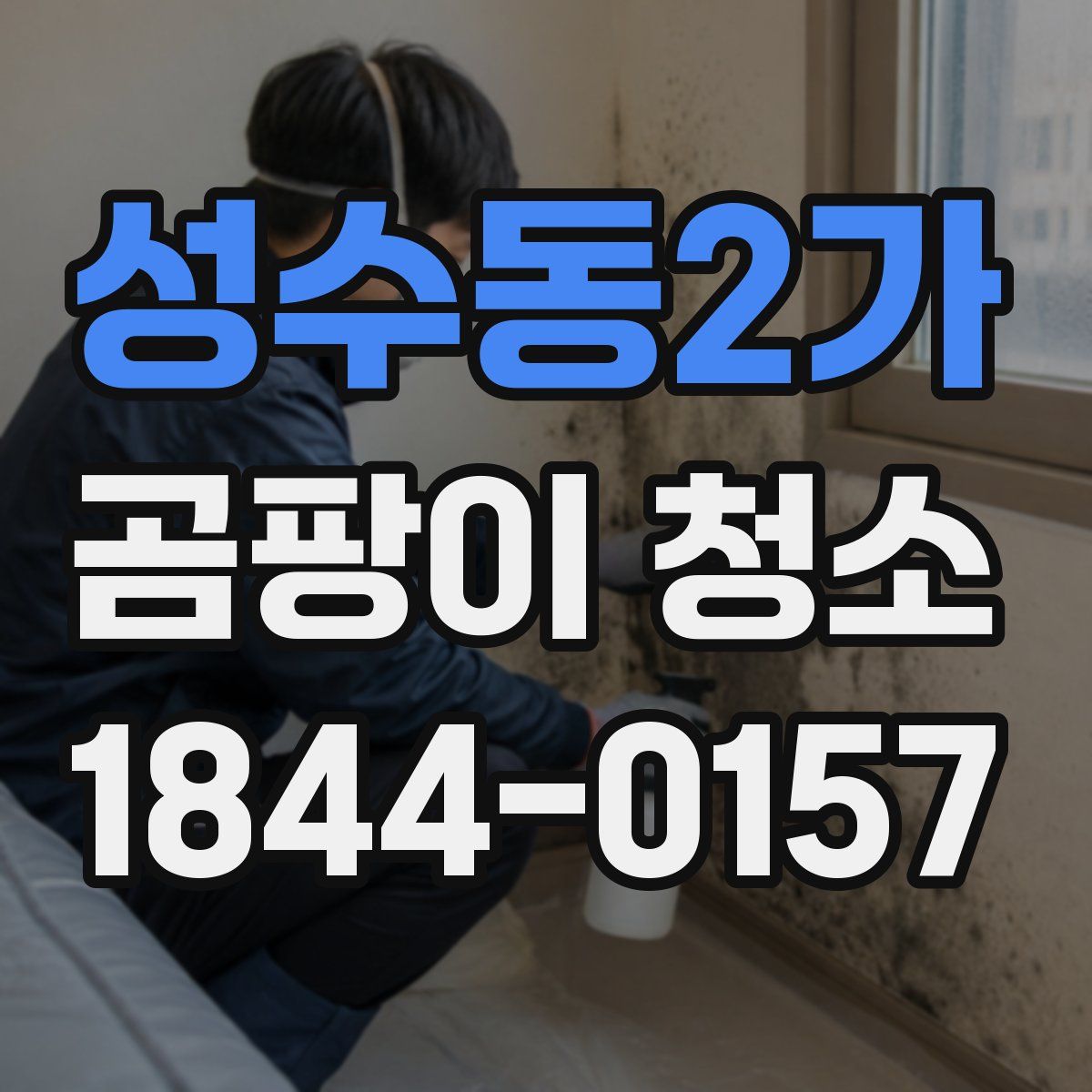 성수동2가 곰팡이 청소