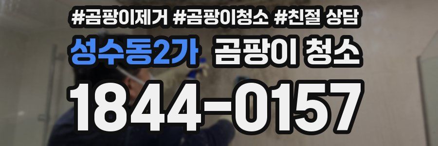 성수동2가 곰팡이 청소