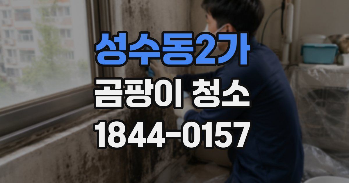 성수동2가 곰팡이 청소