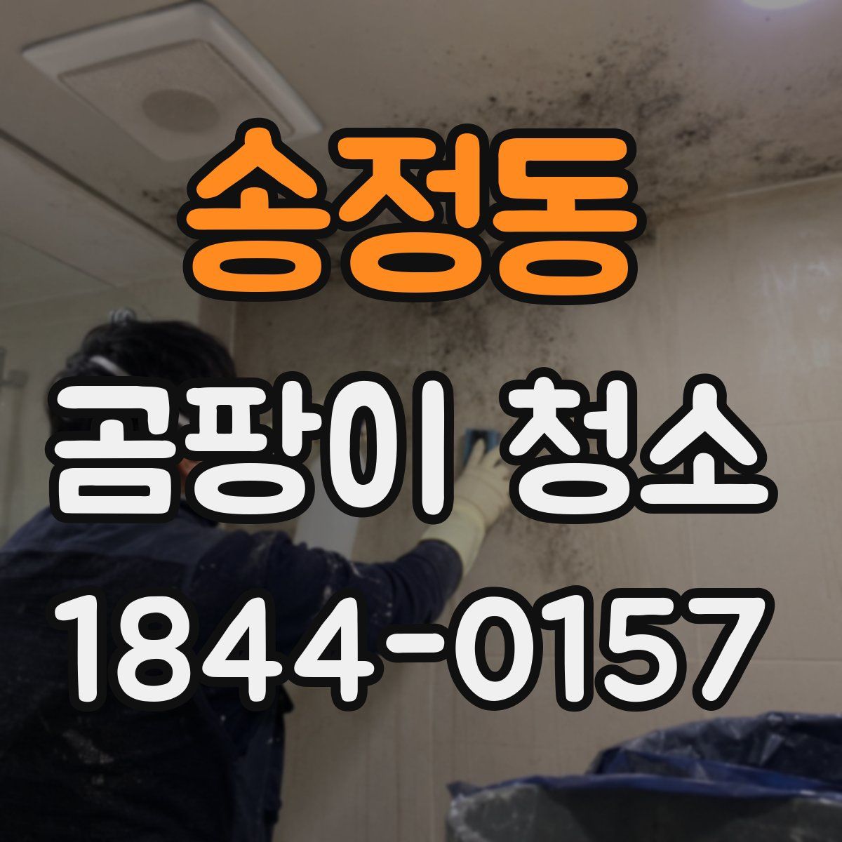 송정동 곰팡이 청소