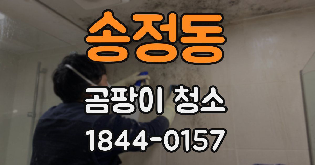 송정동 곰팡이 청소