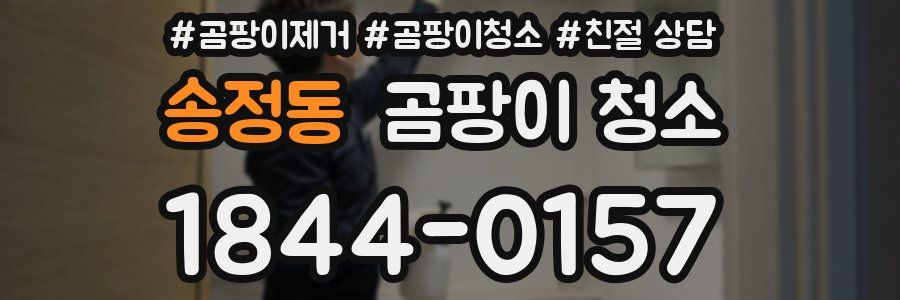 송정동 곰팡이 청소