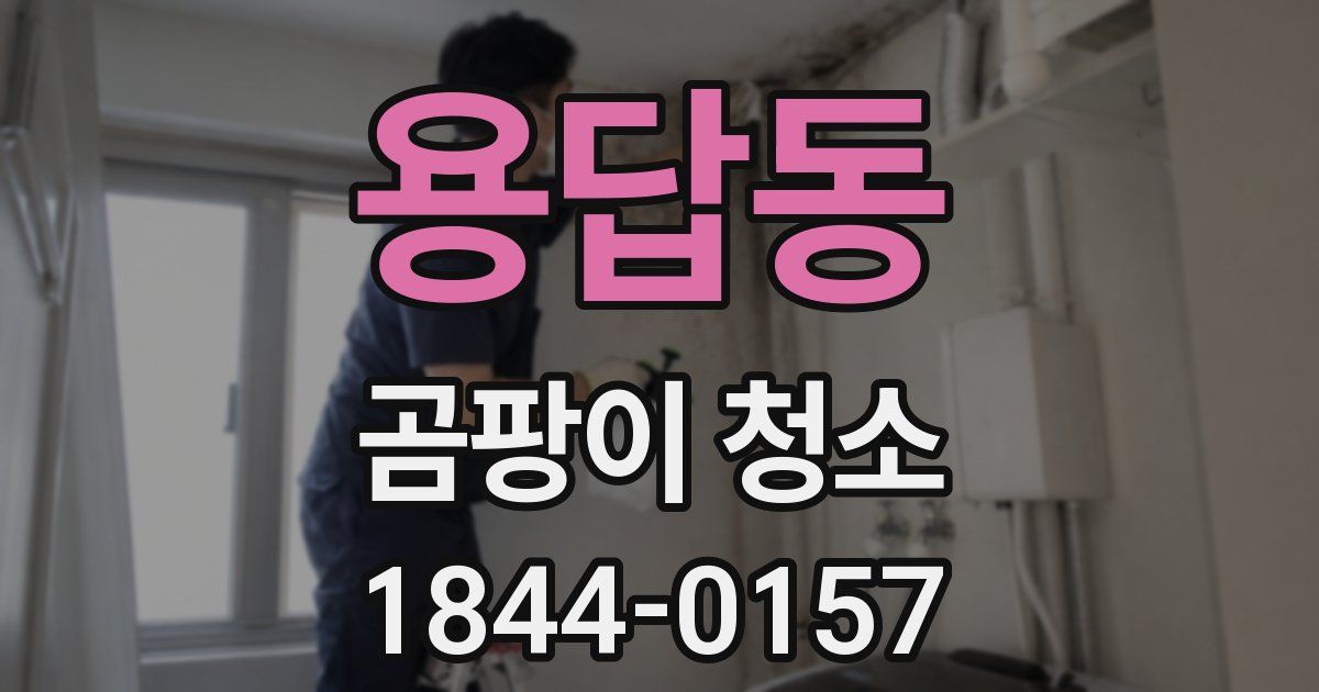 용답동 곰팡이 청소