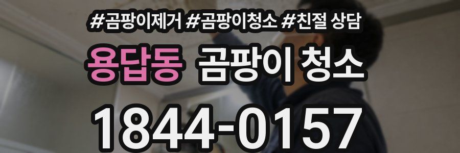 용답동 곰팡이 청소