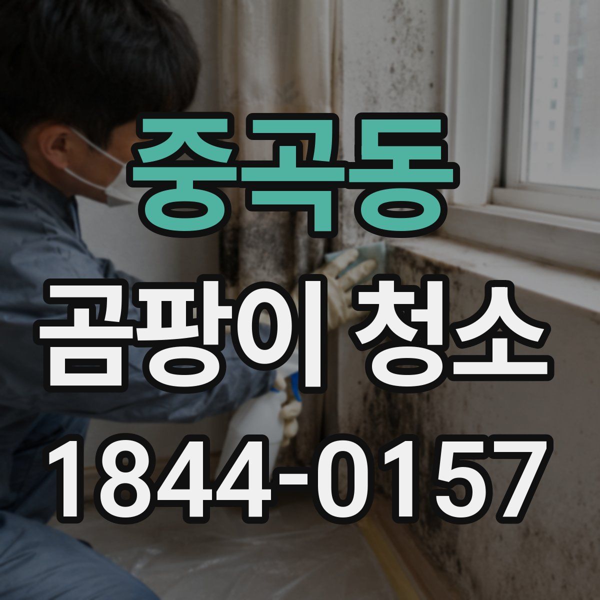 중곡동 곰팡이 청소