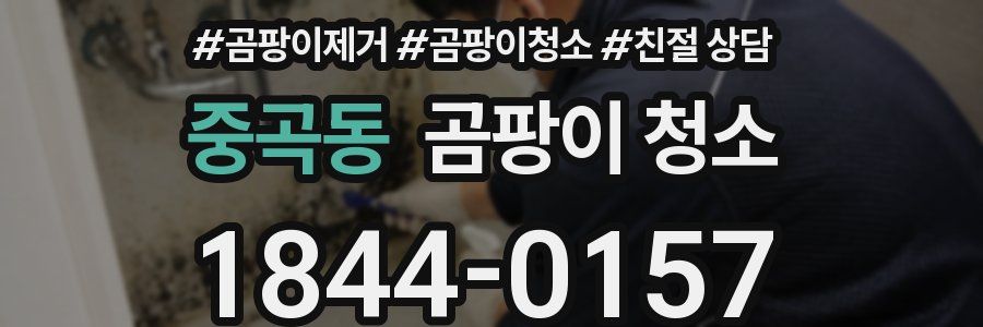 중곡동 곰팡이 청소