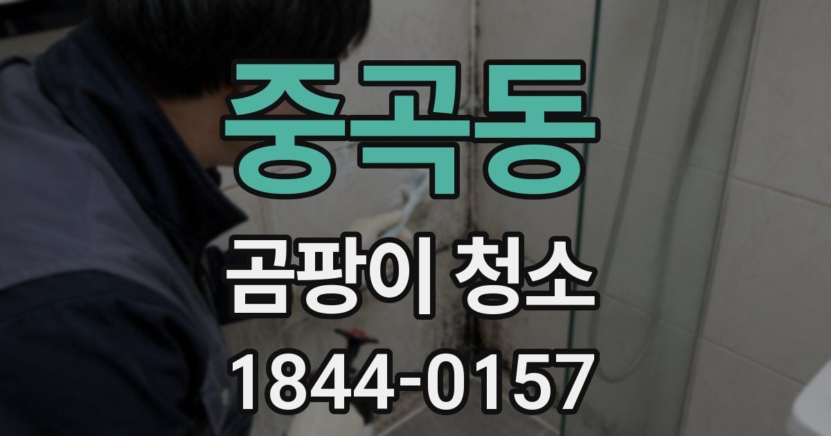 중곡동 곰팡이 청소