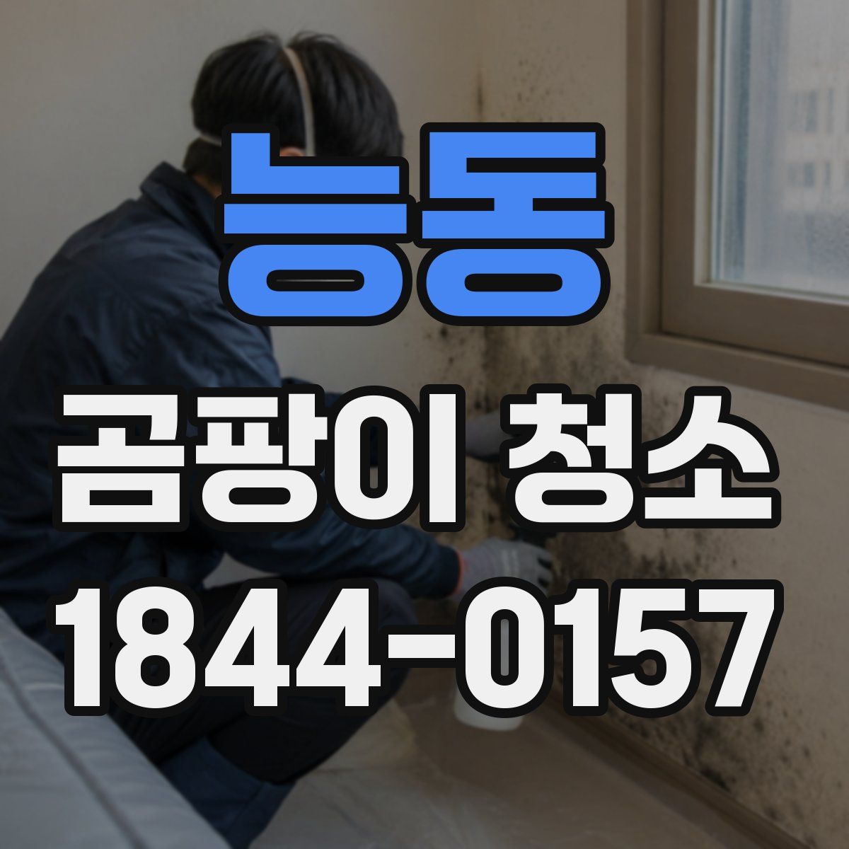 능동 곰팡이 청소