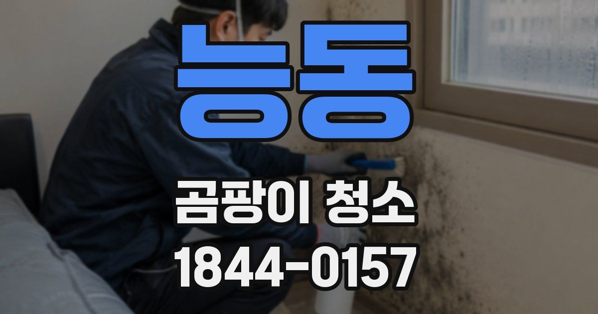 능동 곰팡이 청소