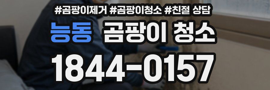 능동 곰팡이 청소