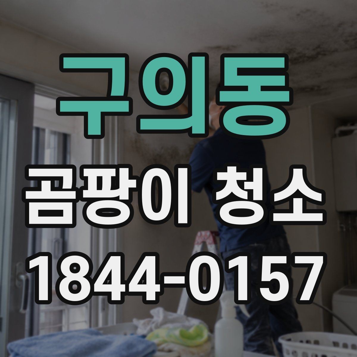 구의동 곰팡이 청소 업체 후기 볼 때 체크할 포인트