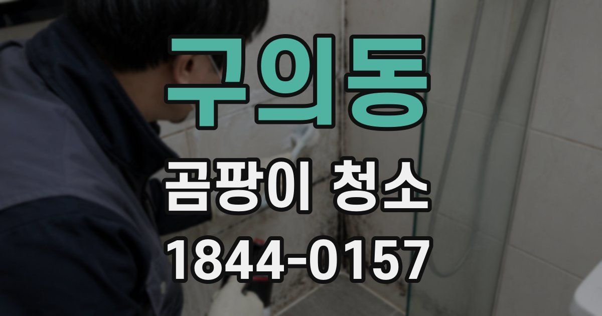 구의동 곰팡이 청소