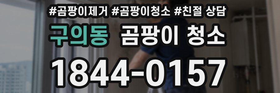 구의동 곰팡이 청소