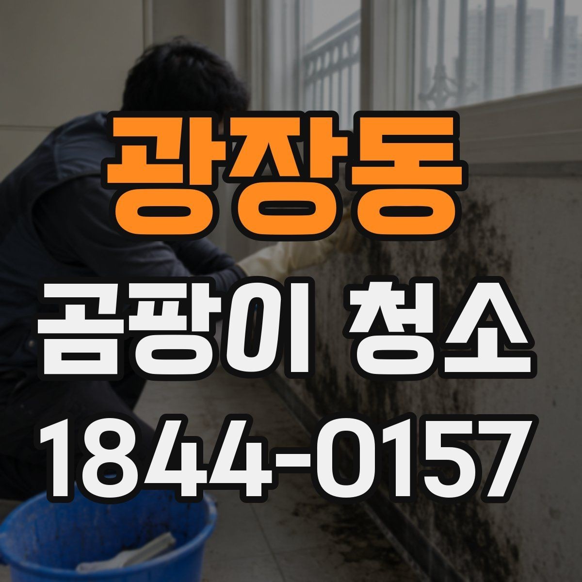 광장동 곰팡이 청소 작업 범위와 예산의 관계