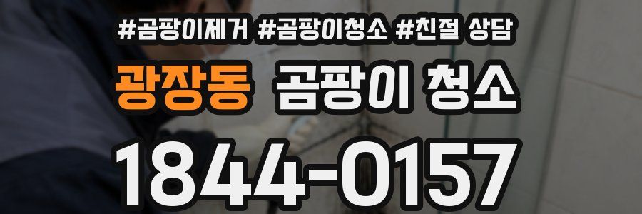 광장동 곰팡이 청소
