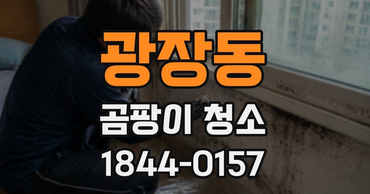 광장동 곰팡이 청소