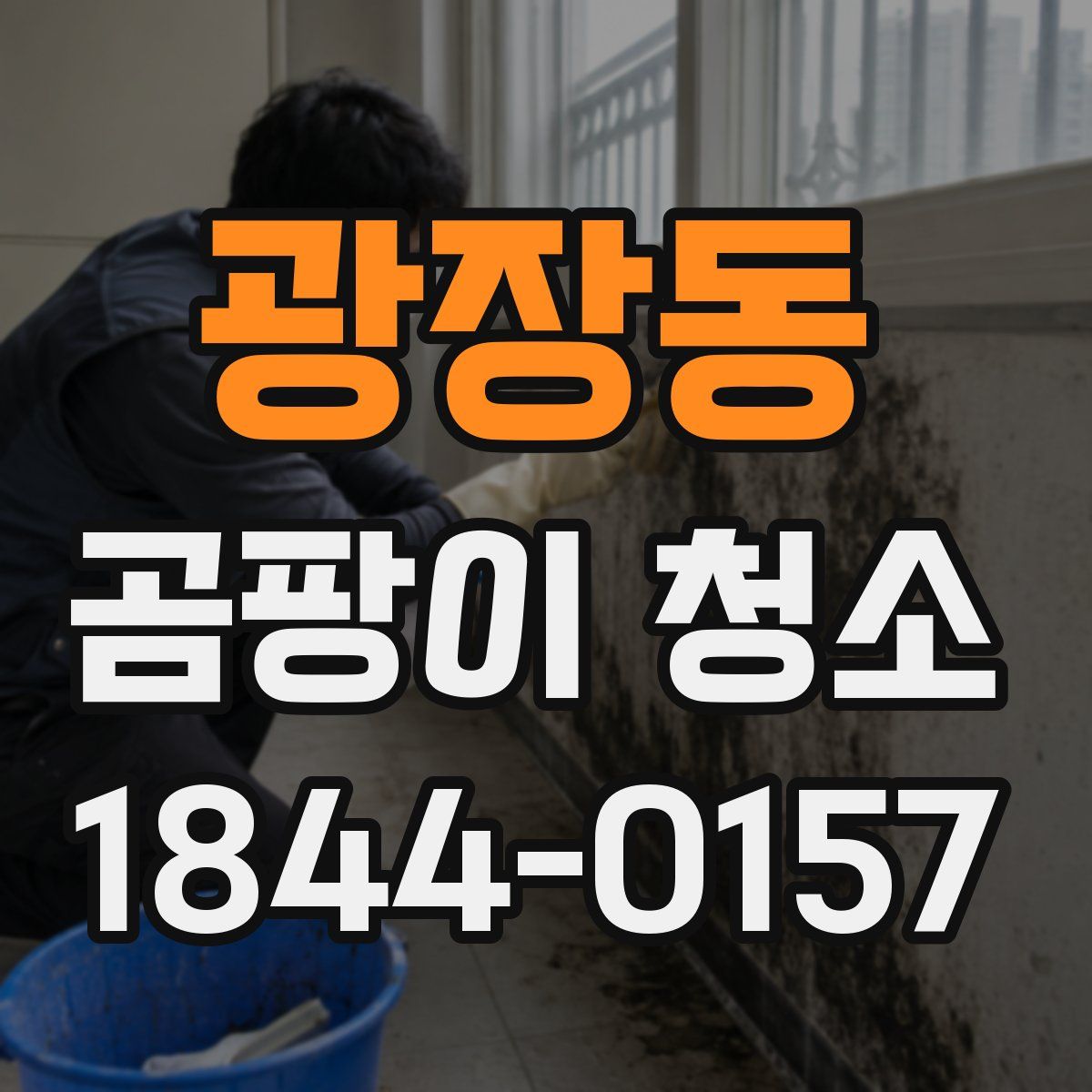 광장동 곰팡이 청소