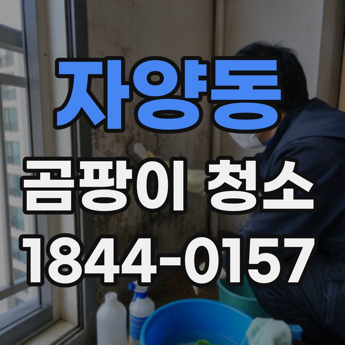자양동 곰팡이 청소