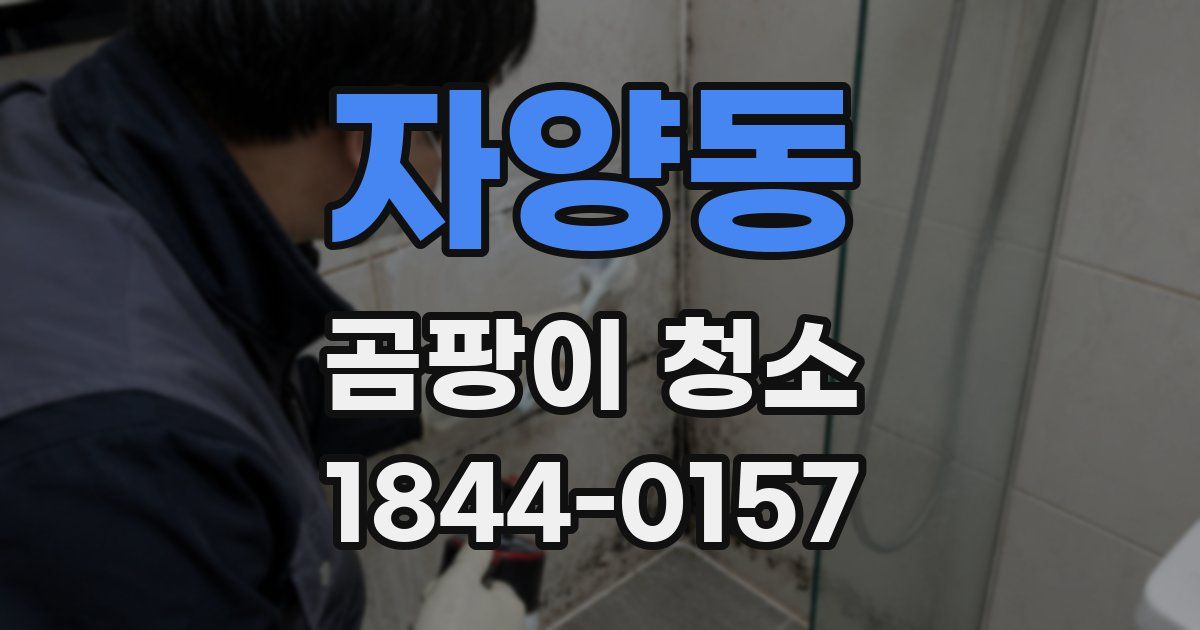 자양동 곰팡이 청소