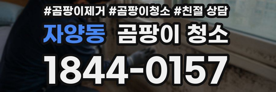 자양동 곰팡이 청소
