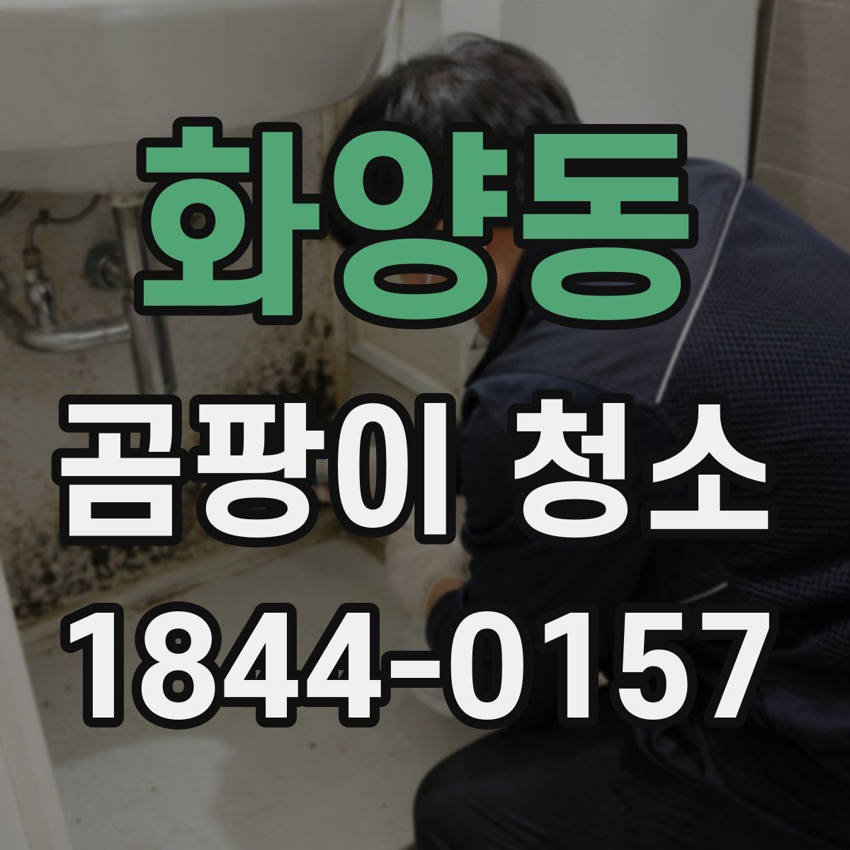 화양동 곰팡이 청소