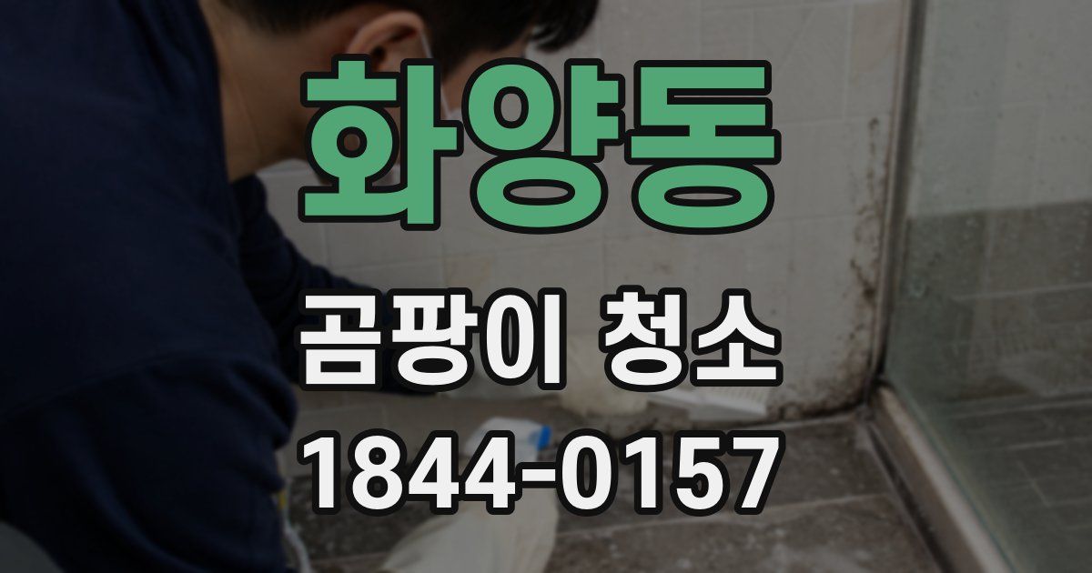 화양동 곰팡이 청소