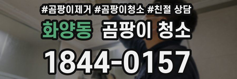 화양동 곰팡이 청소