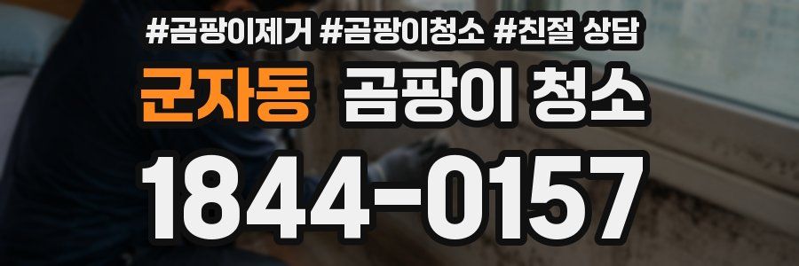 군자동 곰팡이 청소