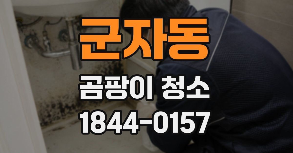 군자동 곰팡이 청소