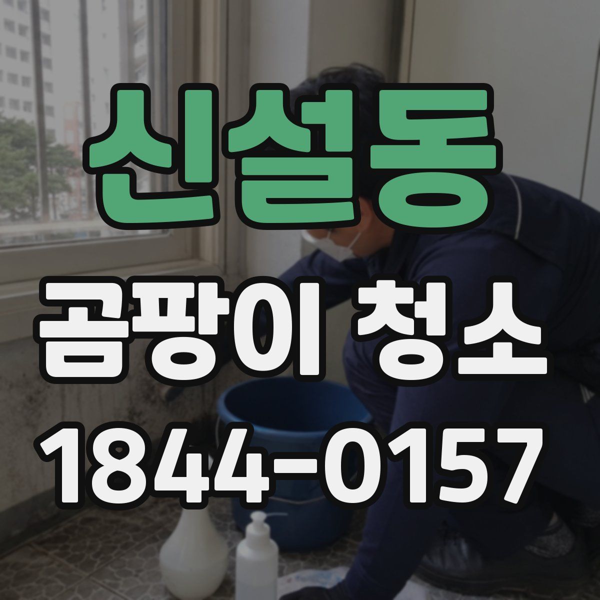 신설동 곰팡이 청소